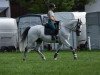 dressage horse La Caramba (Finnish Warmblood, 2006, from La Zarras 119 FIN)