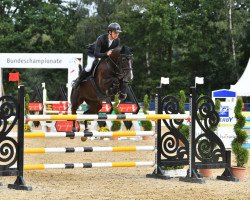 jumper Diarada (Oldenburg show jumper, 2014, from Diarado)