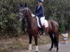 dressage horse First Faible 2 (Oldenburg, 2015, from Florenz 71)