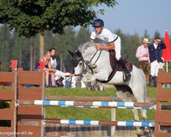 jumper Cornet de Prinz (Württemberger, 2013, from Cornet De Lux)