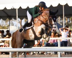 jumper Jonsaunier Dwerse Hagen (Belgian Warmblood, 2009, from Vertigo Saint-Benoît)