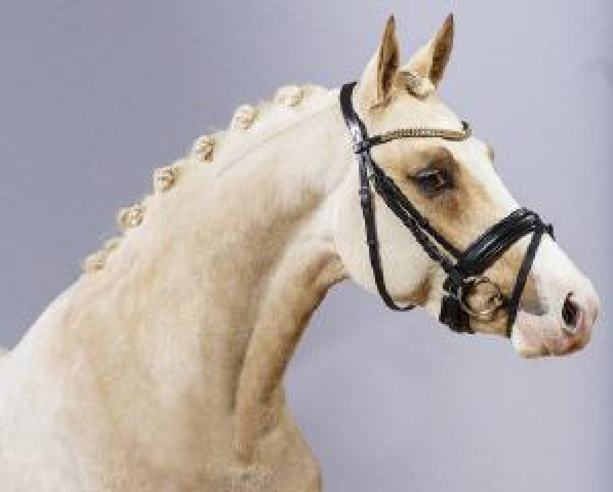 Deckhengst Diamond Touch NRW (Deutsches Reitpony, 2012, von Golden Dime)