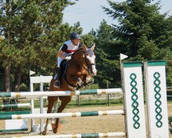 jumper Kalimero 69 (German Riding Pony, 2008, from Kadenzzo)