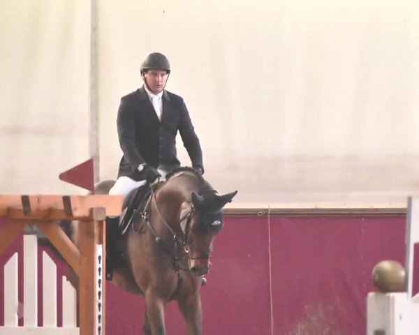 Reitturnier Trier - Hofgut Monaise 2015