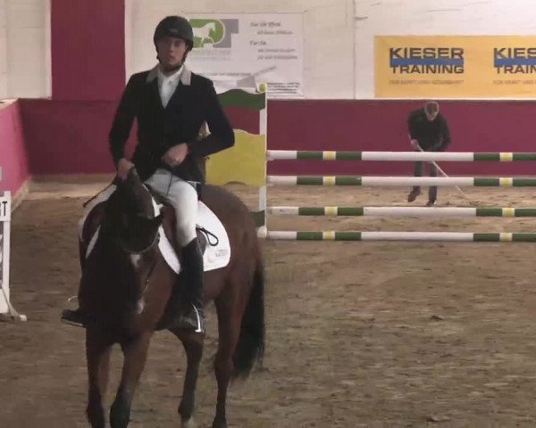 Reitturnier Trier - Hofgut Monaise 2015