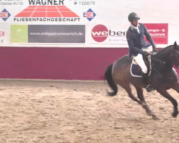 Reitturnier Trier - Hofgut Monaise 2015