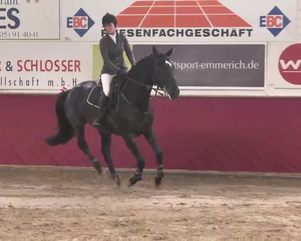 Reitturnier Trier - Hofgut Monaise 2015