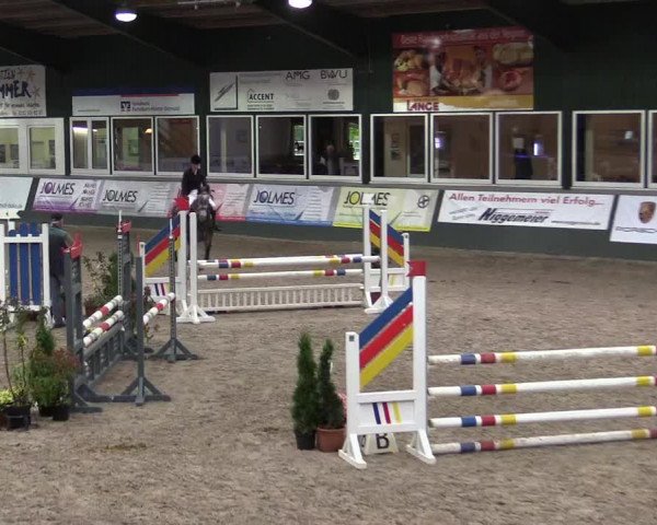 Reitturnier Salzkotten 2015