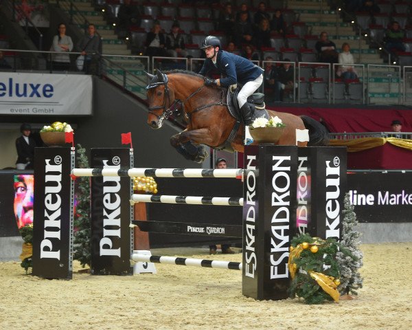 jumper Valentino (KWPN (Royal Dutch Sporthorse), 2006, from Verdi)