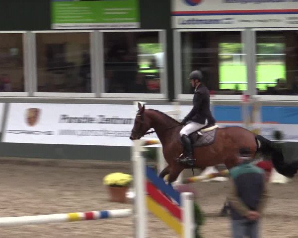 Reitturnier Salzkotten 2015