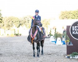 jumper Melaro OLD (Oldenburg show jumper, 2013, from HH Messenger)