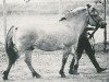Deckhengst Jon J.88 (NLD) (Fjordpferd, 1965, von Øyar FJH 344)