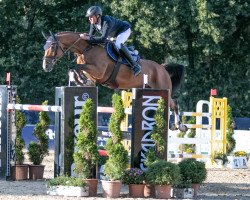 jumper Camelot 143 (Oldenburg show jumper, 2013, from Cabachon)