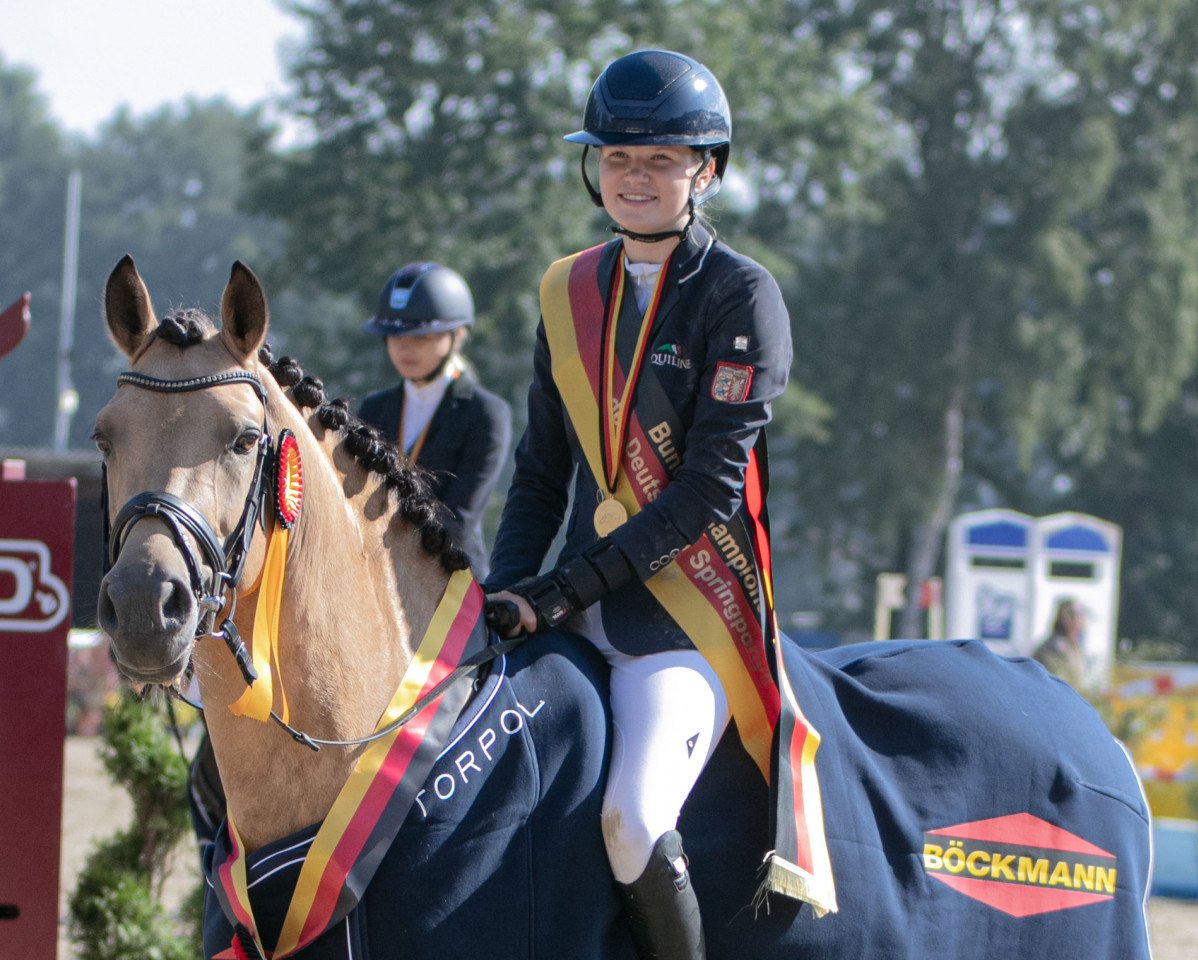 Deckhengst Mescal 15 (Deutsches Reitpony, 2014, von Machno Carwyn)