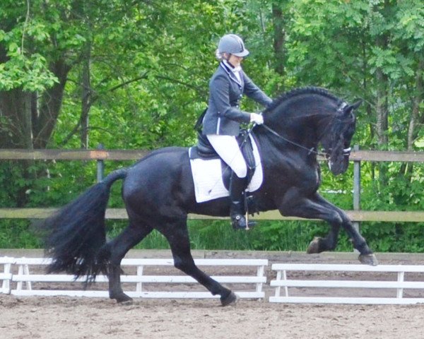 dressage horse Friese Jitze (Friese, 2011, from Andries 415 Sport)