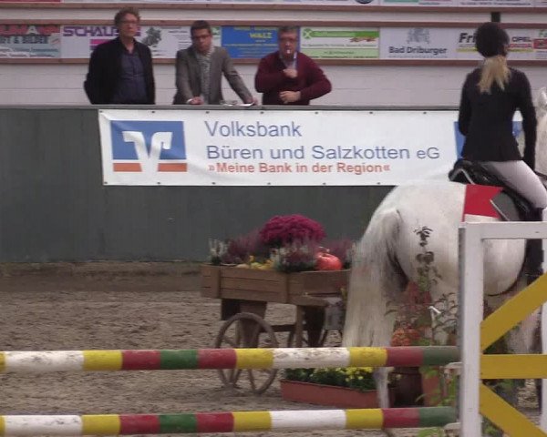 Reitturnier Salzkotten 2015