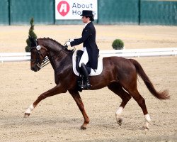 dressage horse First Lady 213 (Rhinelander, 2005, from Fürst Piccolo)