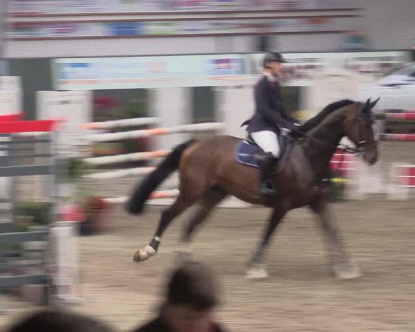 Reitturnier Salzkotten 2015