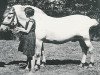 stallion Jarl Bøjholm (Fjord Horse, 1947, from Vendelbo Jarl FJH 67)