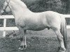 stallion Montano N.1958 (Fjord Horse, 1983, from Haugeblakken N.1875)