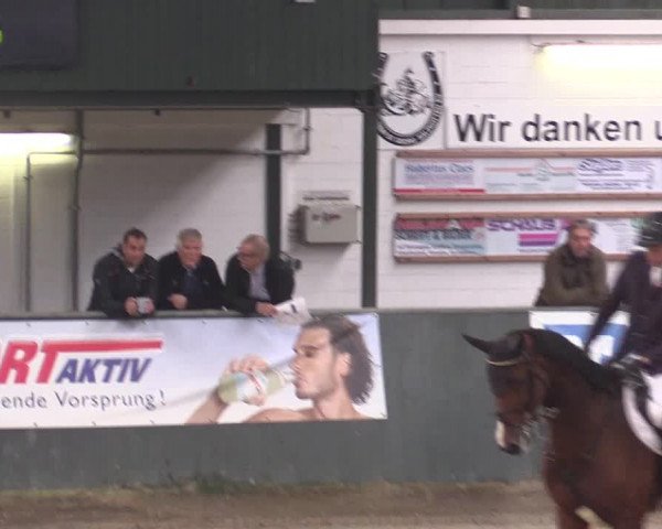 Reitturnier Salzkotten 2015
