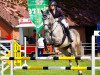 horse Good Jump 3 (Hanoverian, 2013, from Galan ShA)