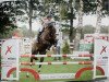 broodmare Baloua du Rouet (Oldenburg show jumper, 2016, from Balou du Rouet)