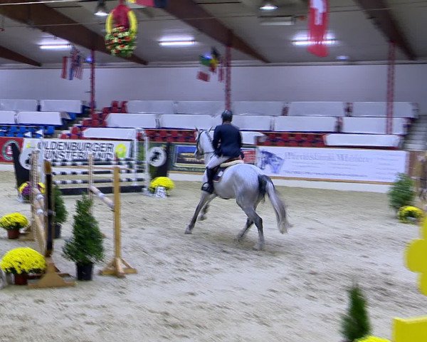 Hallenchampionat Vechta 2015