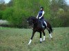 broodmare Bzdura (Polish Warmblood, 2006, from Pro Savage)