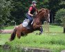 jumper Venya (German Riding Pony, 2003, from Viscount)