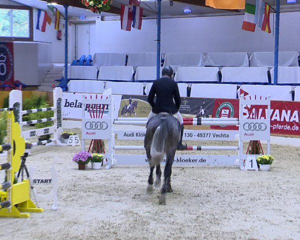 Hallenchampionat Vechta 2015