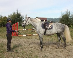 broodmare Cortina M 3 (Westphalian, 2011, from Coronas 2)