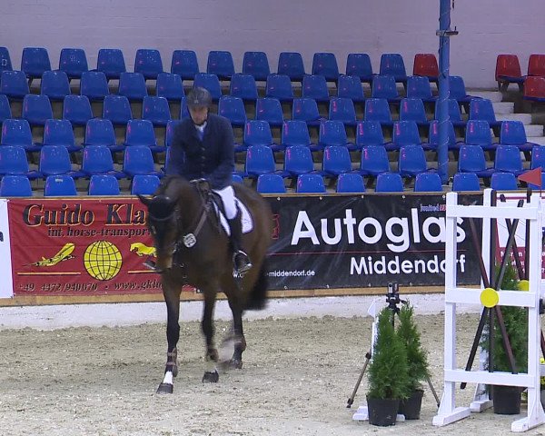 Hallenchampionat Vechta 2015