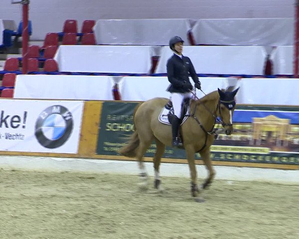 Hallenchampionat Vechta 2015