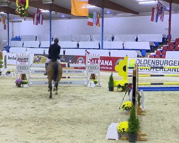 Hallenchampionat Vechta 2015