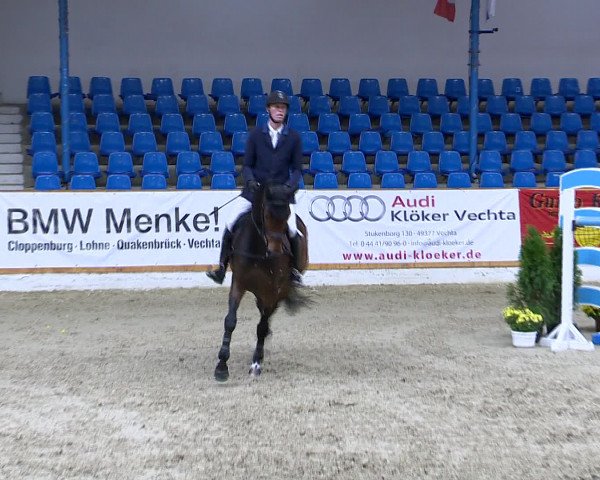 Hallenchampionat Vechta 2015