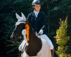 dressage horse Don Dita (Hanoverian, 2014, from Don Crusador)