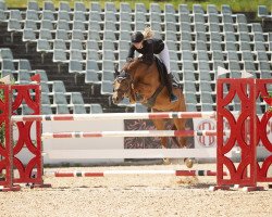 jumper Peppy 48 (Hanoverian, 2009, from Perigueux)