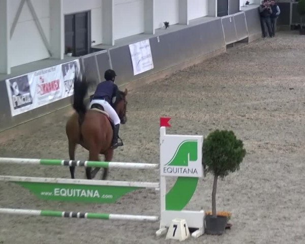 Reitturnier Mönchengladbach-Abtshof 2015
