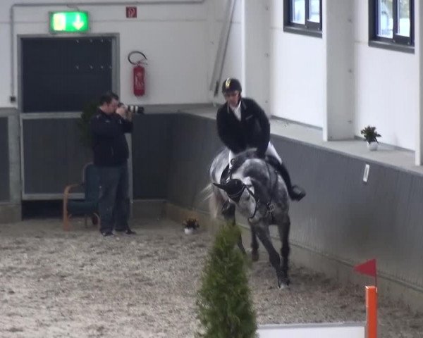Reitturnier Mönchengladbach-Abtshof 2015