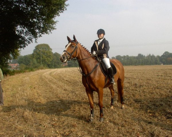 horse Wyjana 4 (Hanoverian, 2001, from Weltmeyer)
