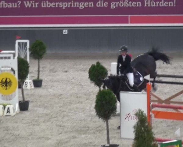 Reitturnier Mönchengladbach-Abtshof 2015