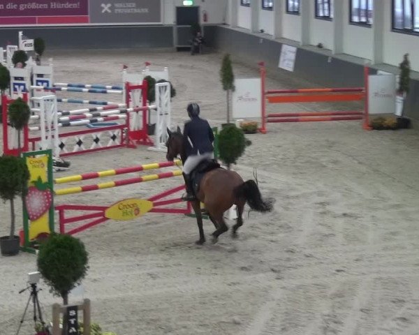 Reitturnier Mönchengladbach-Abtshof 2015