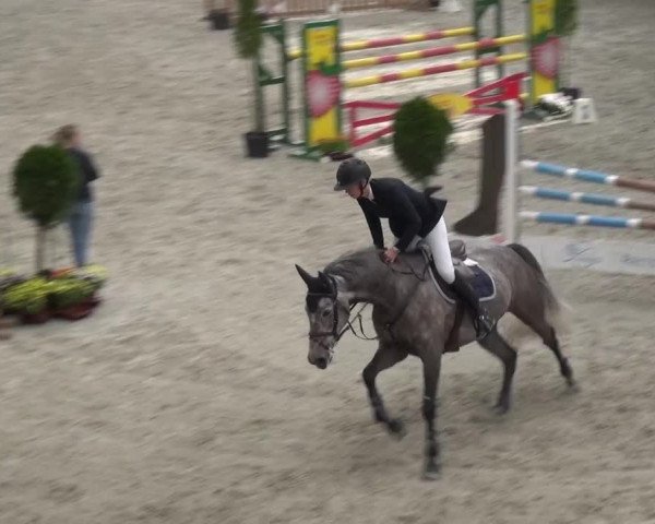 Reitturnier Mönchengladbach-Abtshof 2015