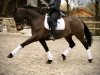 dressage horse Dont Worry (Hanoverian, 2009, from Dancier)