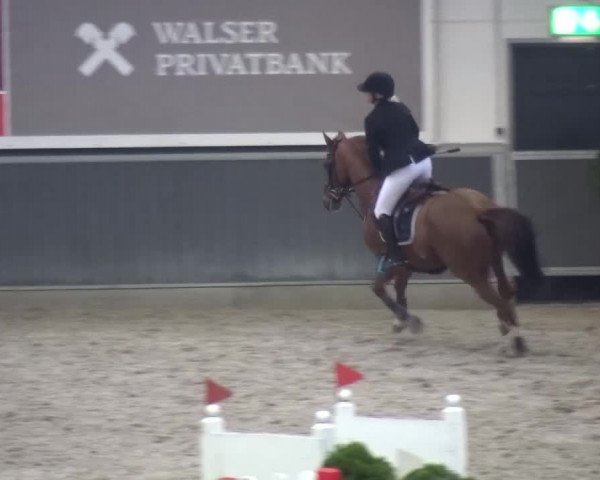 Reitturnier Mönchengladbach-Abtshof 2015