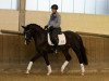 dressage horse Nachtmythos (Trakehner, 2016, from Niagara 34)