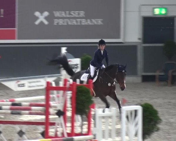 Reitturnier Mönchengladbach-Abtshof 2015