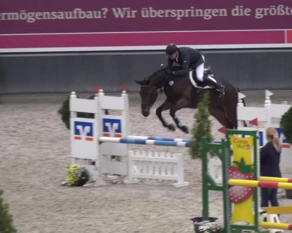Reitturnier Mönchengladbach-Abtshof 2015