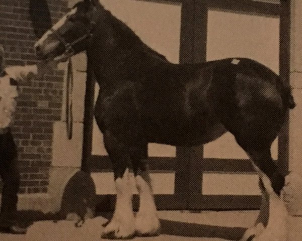 broodmare Crocketts Lady Karen (Clydesdale, 1982, from Ronbergs Scotty Dunn)